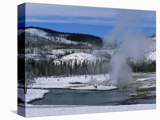 Geysers in Yellowstone National Park, Unesco World Heritage Site, Montana, USA-Alison Wright-Premier Image Canvas