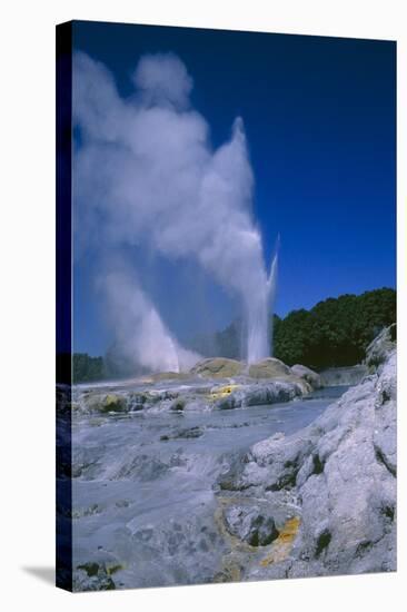 Geysers, Rotorua, New Zealand-Dr. Juerg Alean-Premier Image Canvas