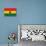 Ghana Flag Design with Wood Patterning - Flags of the World Series-Philippe Hugonnard-Stretched Canvas displayed on a wall