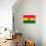 Ghana Flag Design with Wood Patterning - Flags of the World Series-Philippe Hugonnard-Stretched Canvas displayed on a wall