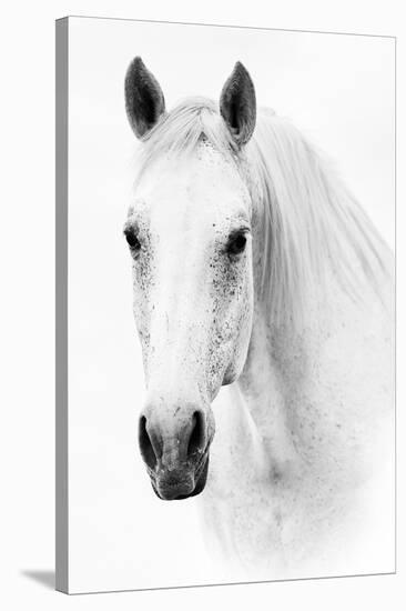 Ghost Equus-null-Stretched Canvas