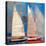 Ghost Sailing-Beth A. Forst-Stretched Canvas