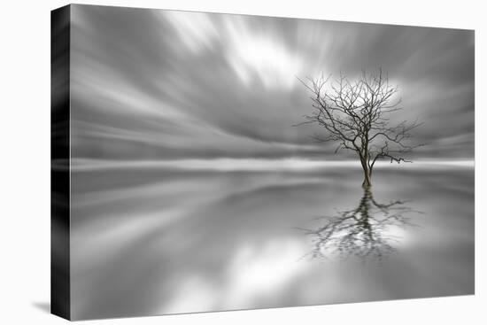 Ghost Tree-Leif Løndal-Premier Image Canvas