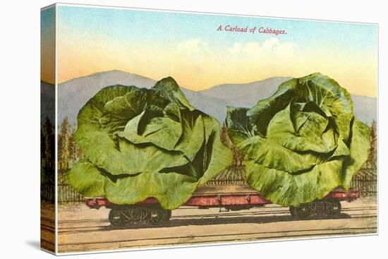 Giant Cabbages on Flatbed-null-Stretched Canvas