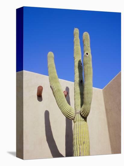 Giant Cactus, Scottsdale, Arizona, USA. North America-Gavin Hellier-Premier Image Canvas