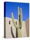 Giant Cactus, Scottsdale, Arizona, USA. North America-Gavin Hellier-Premier Image Canvas