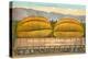 Giant Cantaloupe in Rail Car-null-Stretched Canvas