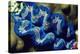 Giant Clam-Georgette Douwma-Premier Image Canvas