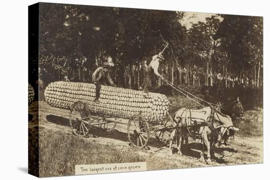 Giant Ear of Corn Pulled by Horse Cart-null-Stretched Canvas