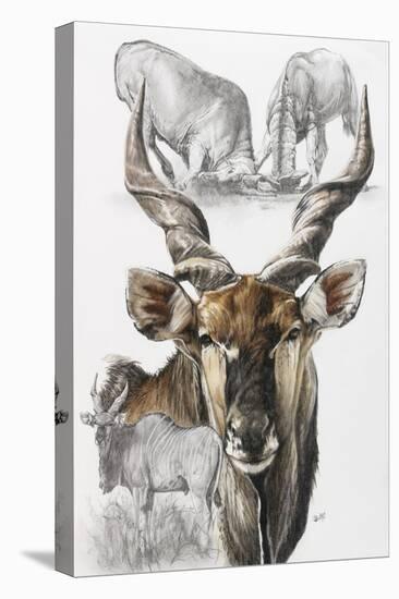 Giant Eland-Barbara Keith-Premier Image Canvas