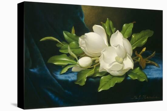 Giant Magnolias on a Blue Velvet Cloth, by Martin Johnson Heade, 1890, American oil painting.-Martin Johnson Heade-Stretched Canvas