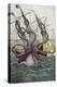 Giant Octopus, Illustration from 'L'Histoire Naturelle Generale Et Particuliere Des Mollusques'-French-Premier Image Canvas