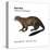 Giant Otter (Pteronura Brasiliensis), Mammals-Encyclopaedia Britannica-Stretched Canvas