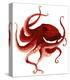 Giant Pacific Octopus - Red-Jeannine Saylor-Stretched Canvas