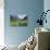 Giant Panda in the Forest-DLILLC-Premier Image Canvas displayed on a wall