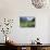 Giant Panda in the Forest-DLILLC-Premier Image Canvas displayed on a wall