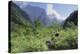 Giant Panda in the Forest-DLILLC-Premier Image Canvas