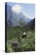 Giant Panda in the Forest-DLILLC-Premier Image Canvas