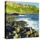Giant''s Causeway, County Antrim, Northern Ireland-phbcz-Premier Image Canvas