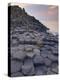 Giant's Causeway Near Bushmills, County Antrim, Ulster, Northern Ireland, UK-Neale Clarke-Premier Image Canvas