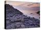 Giant's Causeway Near Bushmills, County Antrim, Ulster, Northern Ireland, UK-Neale Clarke-Premier Image Canvas