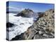 Giant's Causeway on the Causeway Coast,37,000 Hexagonal Basalt Columns, County Antrim-Gavin Hellier-Premier Image Canvas