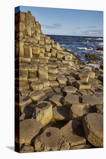 Giant's Causeway, UNESCO World Heritage Site, County Antrim, Ulster, Northern Ireland, United Kingd-Nigel Hicks-Premier Image Canvas