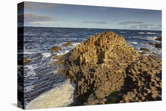 Giant's Causeway, UNESCO World Heritage Site, County Antrim, Ulster, Northern Ireland, United Kingd-Nigel Hicks-Premier Image Canvas
