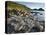 Giant's Causeway-Kevin Schafer-Premier Image Canvas