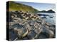 Giant's Causeway-Kevin Schafer-Premier Image Canvas