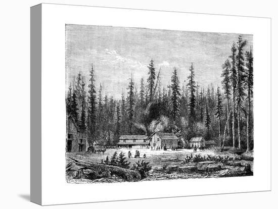 Giant Sequoia Forest, California, 19th Century-Paul Huet-Premier Image Canvas