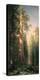 Giant Trees, Mariposa Grove, California-Albert Bierstadt-Stretched Canvas