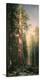 Giant Trees, Mariposa Grove, California-Albert Bierstadt-Stretched Canvas