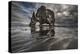 Giant-Bragi Ingibergsson --Premier Image Canvas