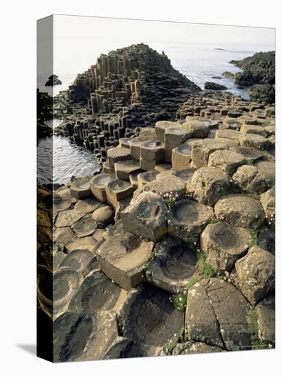 Giants Causeway, Unesco World Heritage Site, County Antrim, Ulster, Northern Ireland-G Richardson-Premier Image Canvas