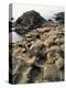 Giants Causeway, Unesco World Heritage Site, County Antrim, Ulster, Northern Ireland-G Richardson-Premier Image Canvas