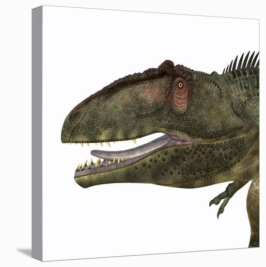Giganotosaurus Dinosaur Head-Stocktrek Images-Stretched Canvas