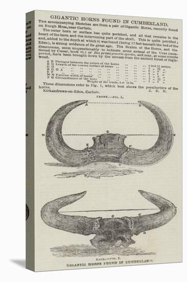 Gigantic Horns Found in Cumberland-null-Premier Image Canvas