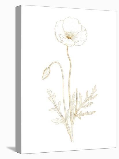 Gilded Botanical I-Wild Apple Portfolio-Stretched Canvas