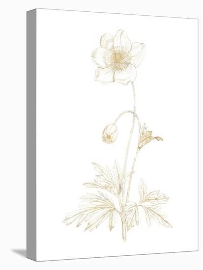 Gilded Botanical II-Wild Apple Portfolio-Stretched Canvas