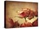 Gilded Roses-Jessica Jenney-Premier Image Canvas