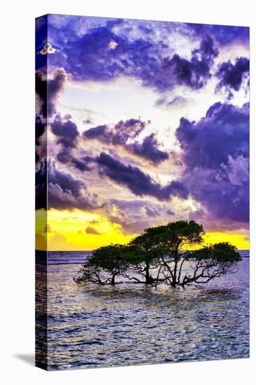 Gili Trawangan Island off the coast of Lombok, Indonesia. White sand, clear warm water.-Greg Johnston-Premier Image Canvas
