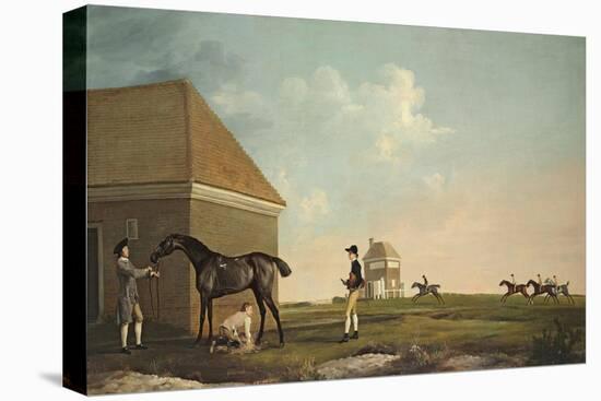 Gimcrack on Newmarket Heath with a Trainer, a Jockey and a Stable Lad-George Stubbs-Premier Image Canvas