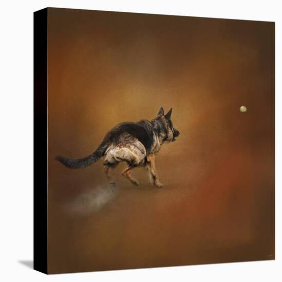 Gimme That Ball German Shepherd-Jai Johnson-Premier Image Canvas