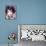 Gina Lollobrigida-null-Stretched Canvas displayed on a wall