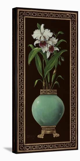 Ginger Jar With Orchids II-Janet Kruskamp-Stretched Canvas