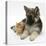 Ginger Kitten with German Shepherd Dog (Alsatian) Bitch Puppy, Echo-Mark Taylor-Premier Image Canvas