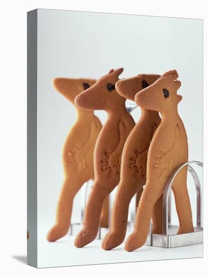 Gingerbread Creatures (Lucy Casson) 2003-Norman Hollands-Premier Image Canvas