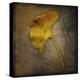 Gingko 1-John W Golden-Premier Image Canvas