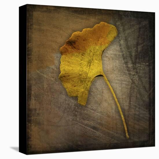 Gingko-John W Golden-Stretched Canvas